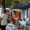 Persone sedute e in piedi accanto a tende sotto grandi alberi.