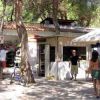 Mercato all'aperto con bancarelle sotto gli alberi, persone che passeggiano e fanno acquisti.