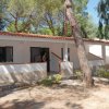 Bungalow bianco circondato da alberi.