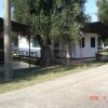 Due bungalow bianchi con tetto in legno, circondati da alberi e vegetazione.