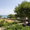 Parco verde con alberi vicino alla spiaggia.