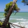 Terrazza con tavolo sul mare e ombreggiata da alberi.