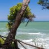 Balcone con vista mare e alberi.