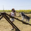 Cane su rampa da agility, persona accanto in campo aperto.