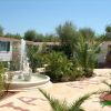 Giardino soleggiato con una fontana e statue vicino a edifici chiari.