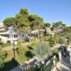 Vista di un giardino alberato e una spiaggia.