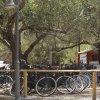 Biciclette parcheggiate sotto alberi in un'area recintata.