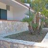 Facciata di una casa con giardino e piccole palme.