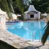 Piscina vista da dietro un muretto con piante verdi.