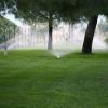 Irrigatori in funzione in un giardino verde con alberi.
