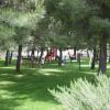 Parco giochi tra alberi verdi.