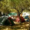 Campeggio con tende e persone sedute sotto gli alberi.