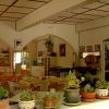 Interno di ristorante con piante in vaso.
