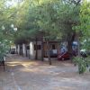 Case mobili con auto parcheggiate tra gli alberi.
