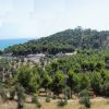 Collina verdeggiante con alberi e case vicine al mare.