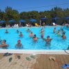 Persone nuotano in una piscina all’aperto, circondata da alberi e ombrelloni blu.