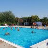 Persone che nuotano in una piscina all'aperto, circondate da piante e sedie.
