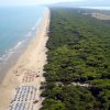 Spiaggia sabbiosa con ombrelloni e sedie a sdraio, accanto a una vasta foresta verde.